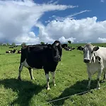 Keeraun Hill Alojamento de Acomodação e Pequeno-almoço Banagher