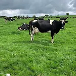 Keeraun Hill Alojamento de Acomodação e Pequeno-almoço Banagher