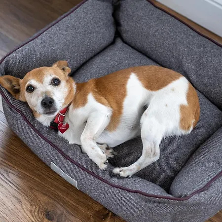 Keeraun Hill Bed and breakfast