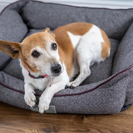 Keeraun Hill Banagher