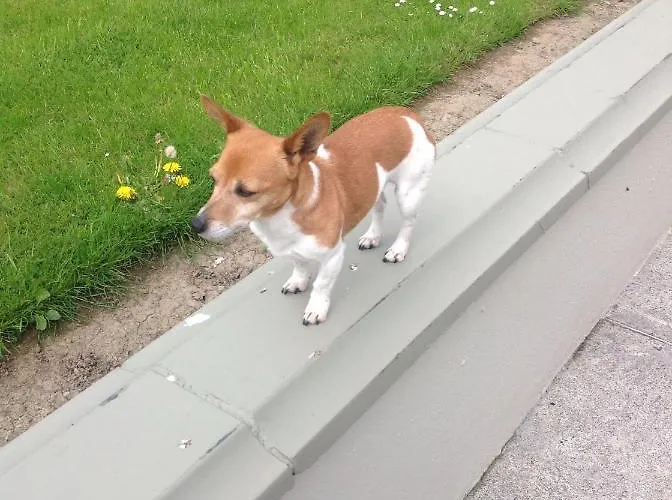 Bed and breakfast Keeraun Hill