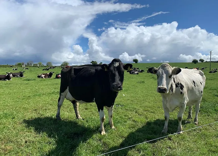 Keeraun Hill Bed and breakfast Banagher