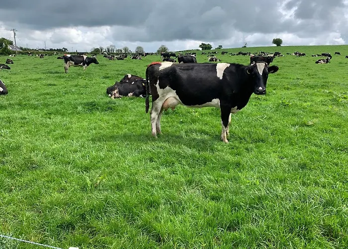 Keeraun Hill Отель типа 