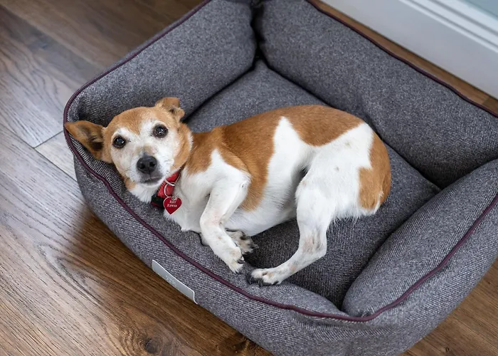 Keeraun Hill Bed and breakfast