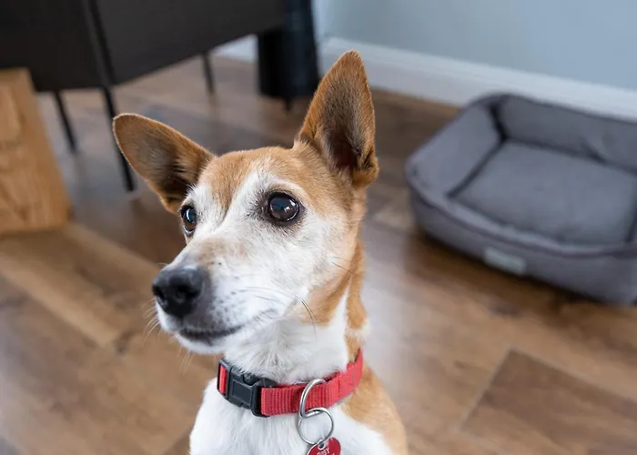 Keeraun Hill Banagher