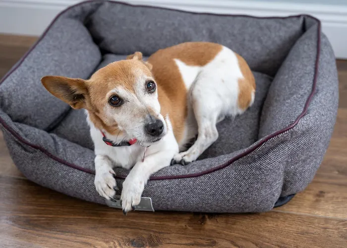 Keeraun Hill Banagher